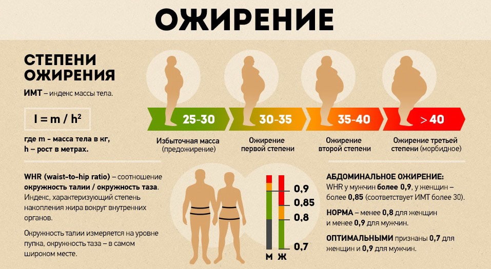 Ожирение 1 Степени У Женщин Лечение Диета