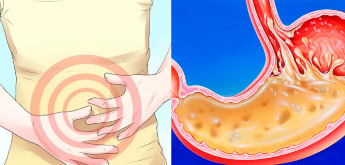 воздействие этанола на желудок