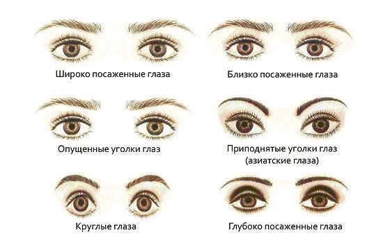 Формы глаз