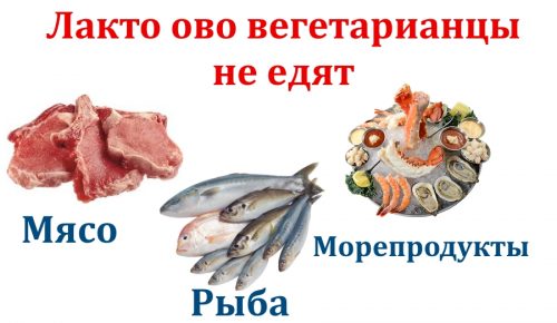 Лакто вегетарианство. Лактоововегетарианство. Ово вегетарианцы. Вегетарианство рыба и морепродукты.
