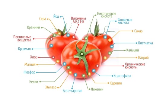 Витамины и микроэлементы в составе томата