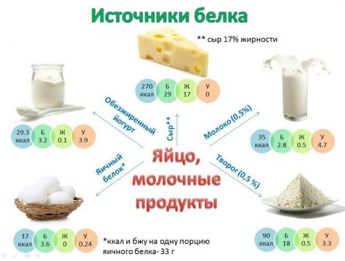  белка в яйцах и молочных продуктах