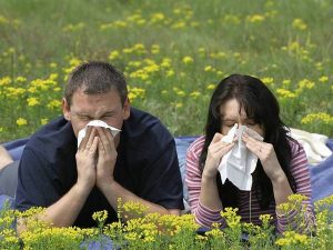 Аллергия на травы
