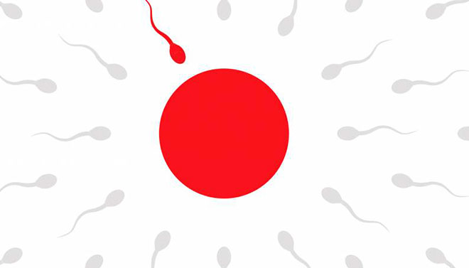 японский флаг как красная яйцеклетка и сперматозоиды