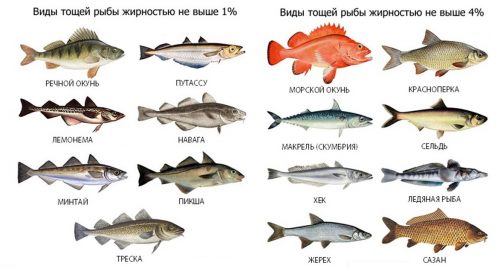 Виды рыбы с невысокой жирностью