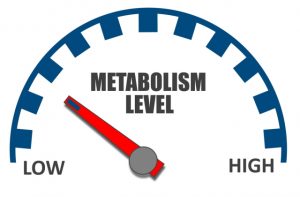 Замедление метаболизма