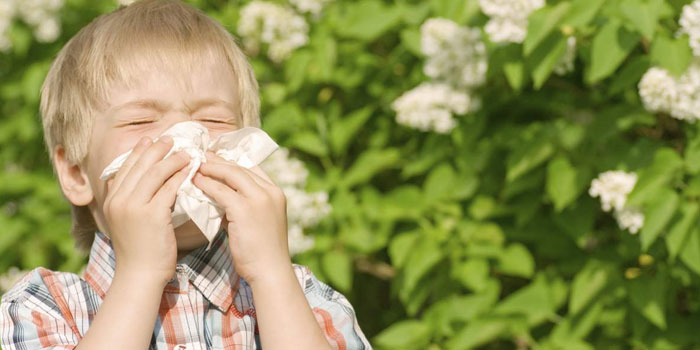 аллергия на пыльцу у детей