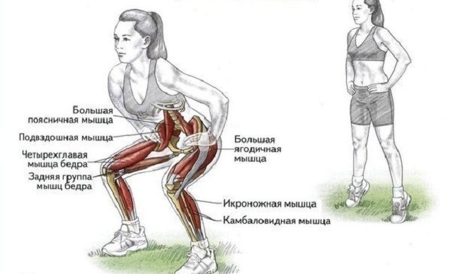 Задействованные мышцы