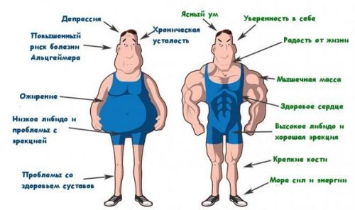 Тестостерон и ожирение у мужчин