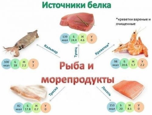  белка в рыбе и морепродуктах