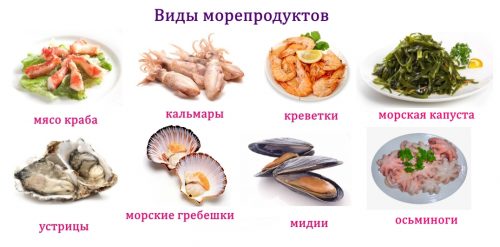 Виды морепродуктов