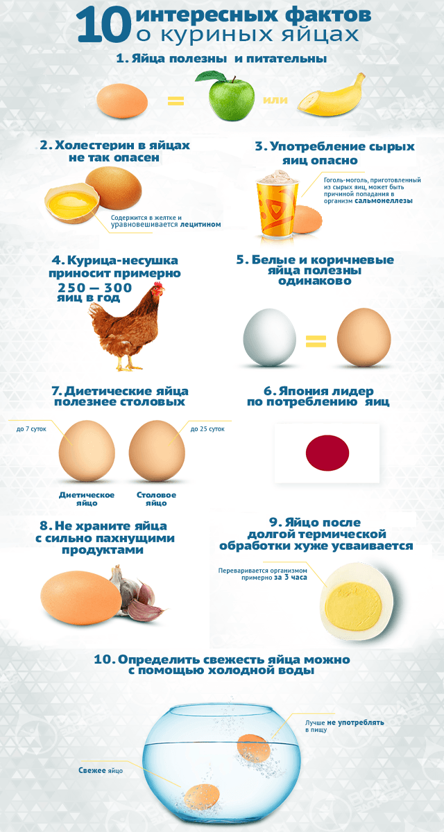 10 фактов о куриных яйцах