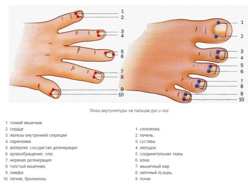 Акупунктурные точки пальцев рук и ног