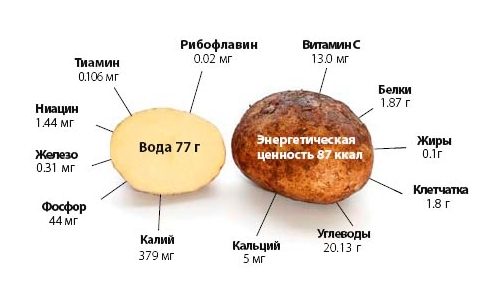Полезный состав картофеля