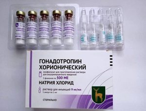 Хорионический гонадотропин