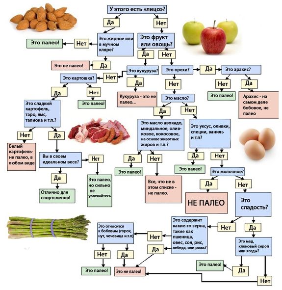 Схема определения продукта палео-диеты