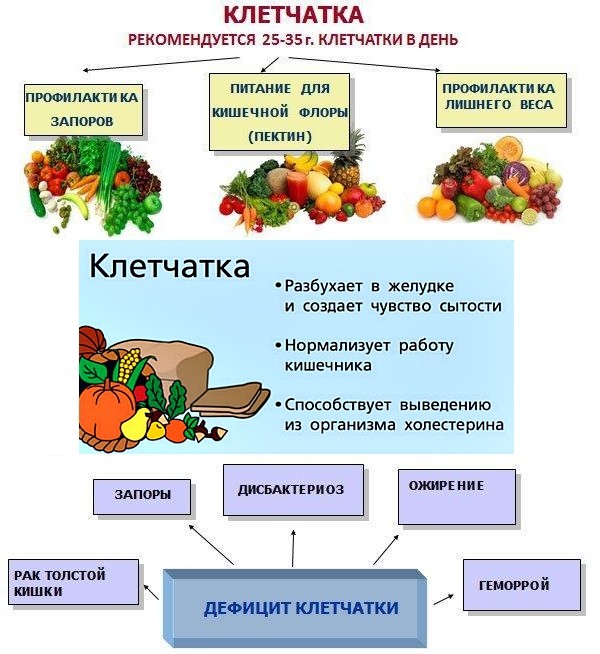 Польза клетчатки