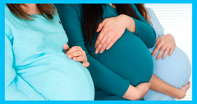 3 беременные суррогатные матери