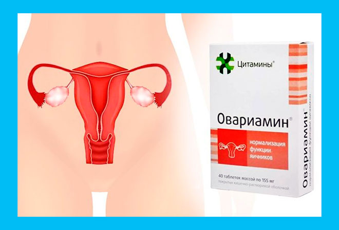 репродуктивная система женщины и упаковка Овариамина