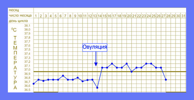 график измерения базальной температуры для определения дня начала овуляции