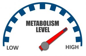 Повышение метаболизма
