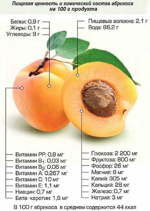 Пищевая ценность абрикоса