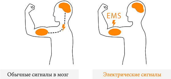 Сигналы EMS.00