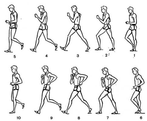 Техника спортивной ходьбы