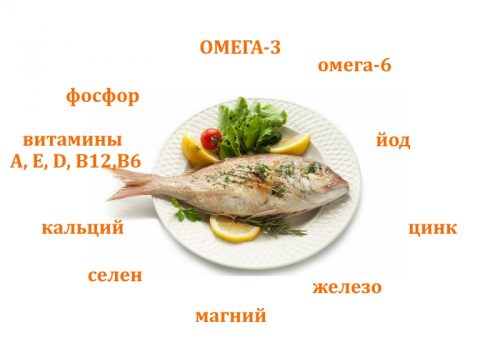 Полезный состав рыбы