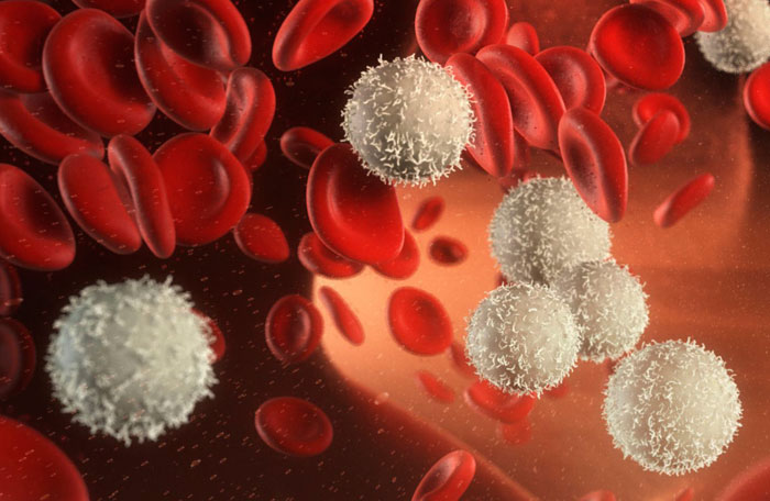 снижение количества лейкоцитов в крови
